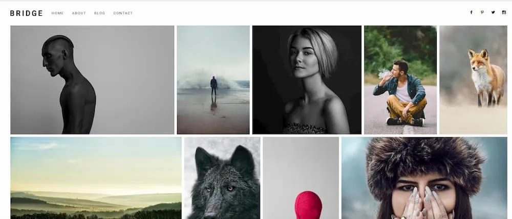 Photography Tiles Bridge Photography Theme