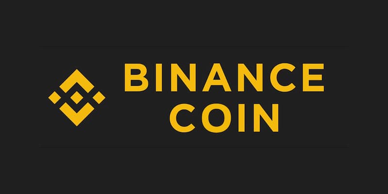 What is the Binance Coin (BNB);