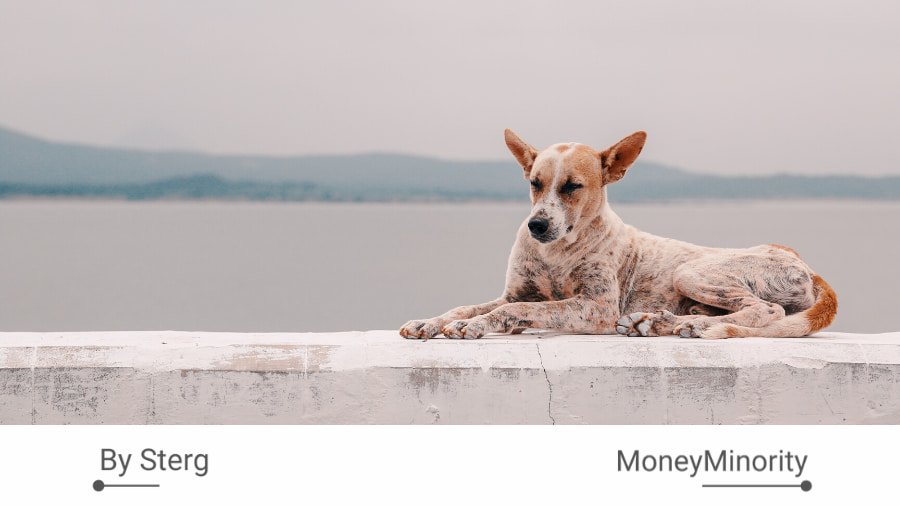 Πως Μπορεί η Φτώχεια να Κοστίζει Ακριβά; (με παραδείγματα) Πως Μπορεί η Φτώχεια να Κοστίζει Ακριβά; (με παραδείγματα)